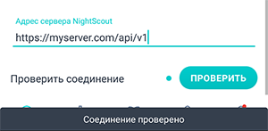 Экран настройки Nightscout приложения Beetis. Результат проверки соединения с сервером Nightscout.