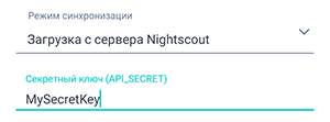 Экран настройки Nightscout приложения Beetis. Поле ввода секретного ключа.